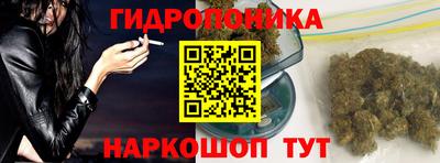 твердый Можга