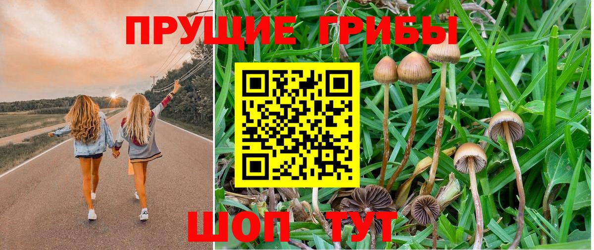 Галлюциногенные грибы мицелий Сочи