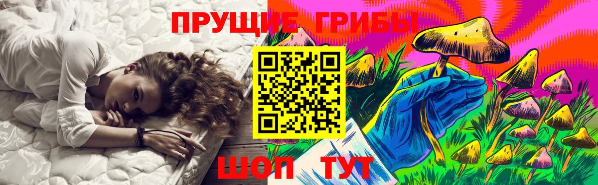 Сочи  где купить наркоту  Вход с VPN  Галлюциногенные грибы мицелий 